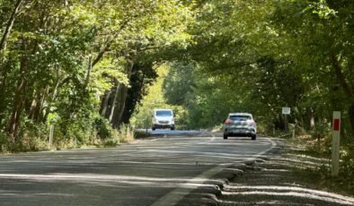 ‘Ağaç tünel yol’ hayran bırakıyor