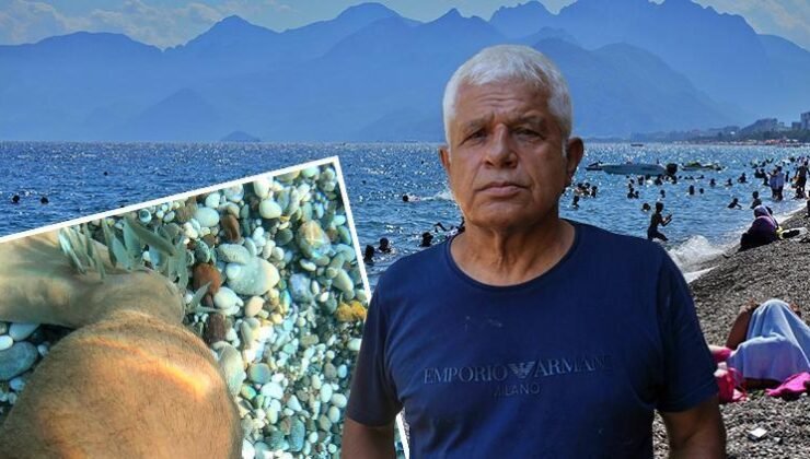 Akdeniz’in ‘doktor’ balıkları… Prof. Dr. Gökoğlu: Yaranın daha çabuk iyileşmesini sağlıyor