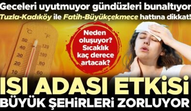 Geceleri uyutmuyor gündüzleri bunaltıyor! Isı adası etkisi büyük şehirleri zorluyor… Tuzla-Kadıköy ile Fatih-Büyükçekmece hattına dikkat