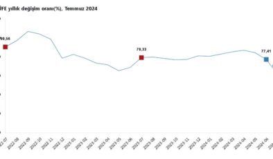 TÜİK: Hizmet üretici fiyatları temmuzda arttı