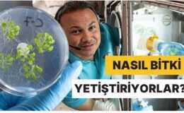 Astronotlar Yer Çekimi Olmadığı Halde Uzayda Nasıl Bitki Yetiştirebiliyor?