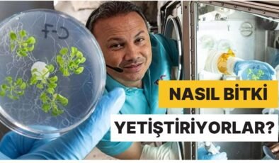 Astronotlar Yer Çekimi Olmadığı Halde Uzayda Nasıl Bitki Yetiştirebiliyor?