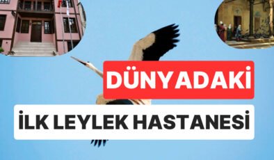 Bursa’da Osmanlı Mirası: Dünyanın İlk Leylek Hastanesi “Gurabahane-i Laklakan”