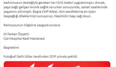 CHP’nin kedisi ‘Şero’ öldü