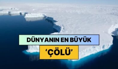 Doğru Sandığımız Yanlış Bir Bilgi Daha: Antarktika Aslında Bir Çöl! İyi de Nasıl?