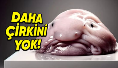 ‘Dünyanın En Çirkin Hayvanı’ Seçilen Blobfish’in İnanması Güç Özellikleri