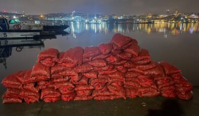 İstanbul- Eminönü’nde kaçak midye avlayan şüpheliye 26 bin lira ceza kesildi