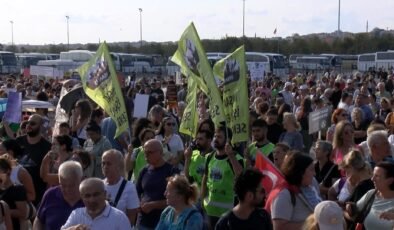 İstanbul- Hayvanseverler Yenikapı Miting alanında buluştu; sanatçılar sokak hayvanları için şarkı söyledi