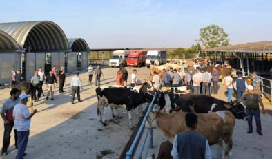 Keşan’da çiçek ve şarbon hastalığı nedeniyle hayvanların meraya çıkartılması yasaklandı