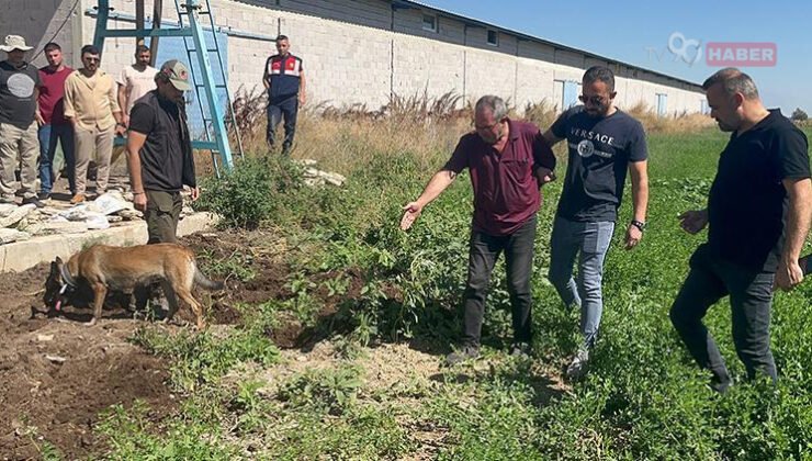 Vahşi cinayette sır perdesi 6 ay sonra aydınlatıldı… ‘Başında ağladım, kepçeyle kazıp gömdüm’