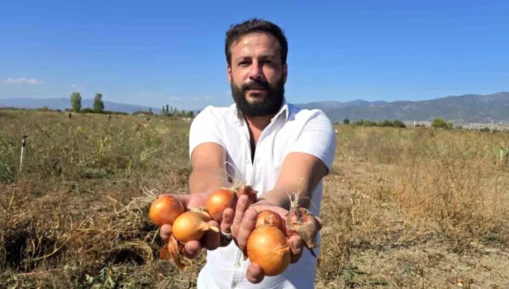 Çiftçiden Bedava Soğan Dağıtımı