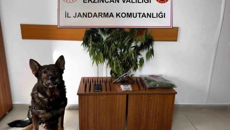 Erzincan Jandarma Eylül İstatistikleri Açıklandı