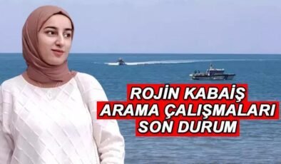 ROJİN KABAİŞ ARAMA ÇALIŞMALARI SON DURUM (7 EKİM): Van’da kaybolan Rojin Kabaiş bulundu mu, nasıl kayboldu? 100’den fazla araç incelendi!