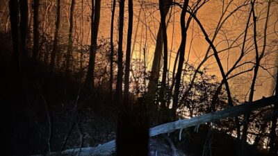 ABD, – ABD’nin Kuzey Carolina eyaletinin Polk County bölgesinde çıkan