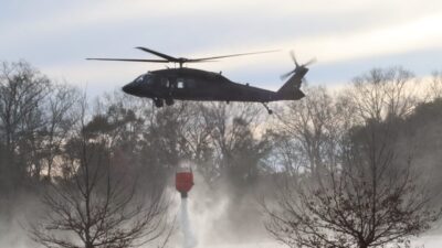 ABD, – ABD’nin Kuzey ve Güney Carolina eyaletlerindeki orman yangınlarıyla