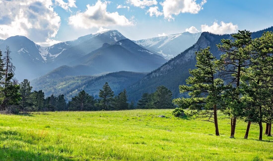 BİRLEŞİK KRALLIK, – YENİ yapılan bir araştırma, doğa belgeselleri ve