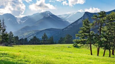 BİRLEŞİK KRALLIK, – YENİ yapılan bir araştırma, doğa belgeselleri ve