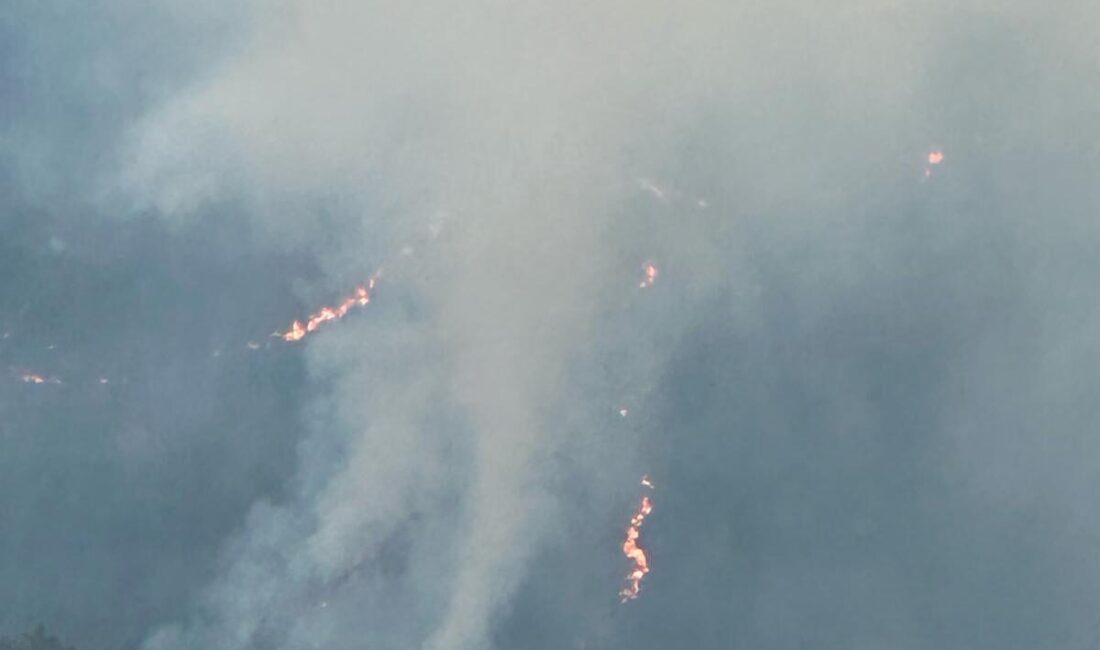 4,5 SAATTE KONTROL ALTINA ALINDI Balıkesir’in Sındırgı ilçesinde başlayan orman