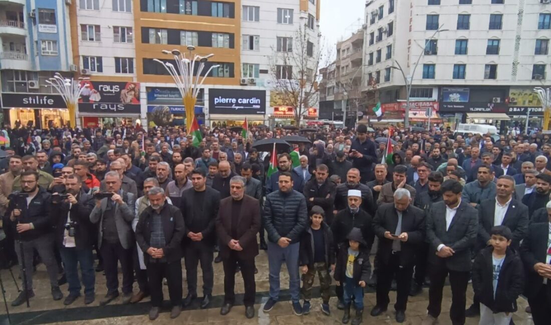 Bayram AYHAN/BATMAN, – BATMAN’da, Sivil Toplum Kuruluşları tarafından İsrail’in Gazze’ye