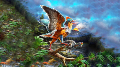 ÇİN, – ÇİN Bilimler Akademisi’nden bir araştırma ekibi, Jura dönemine