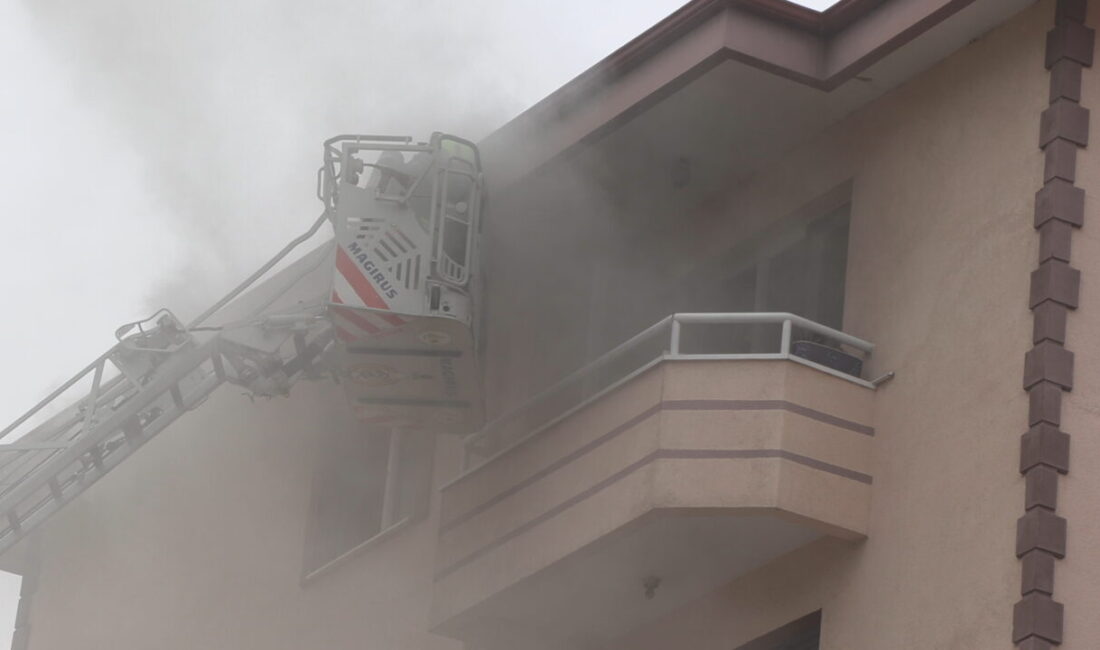 Mutlu YUCA/BOLU, – BOLU’da bir apartman dairesinde bulaşık makinesinden çıkan