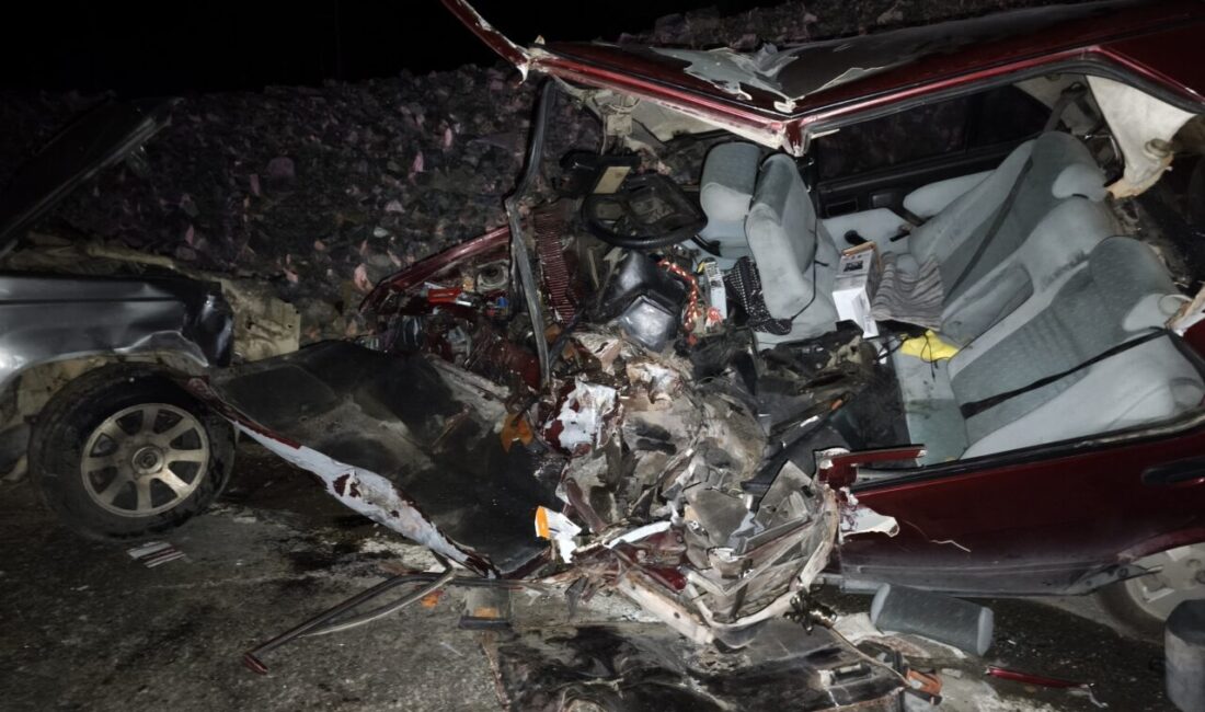 Aydın AKALIN/ HARMANCIK (Bursa), – BURSA’nın Harmancık ilçesinde, otomobil ile