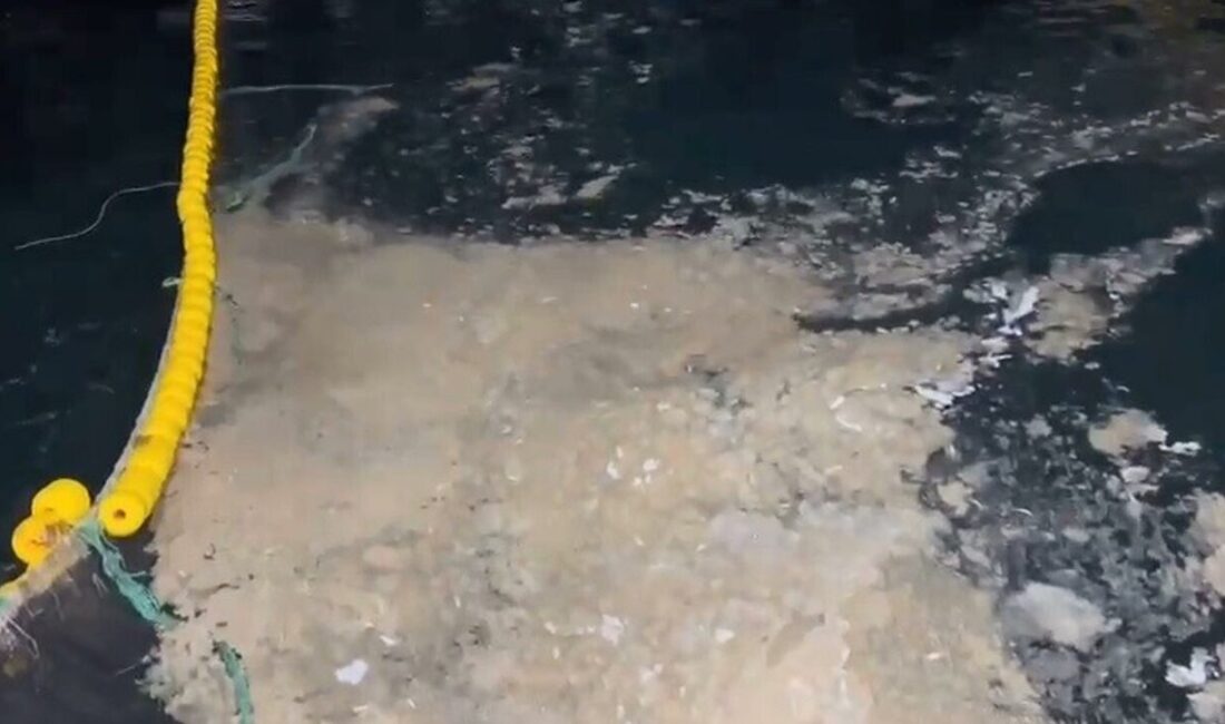 Nazif Cemhan ŞEN/ÇANAKKALE, -ÇANAKKALE’de bazı balıkçılar, müsilaj nedeniyle av sezonunu