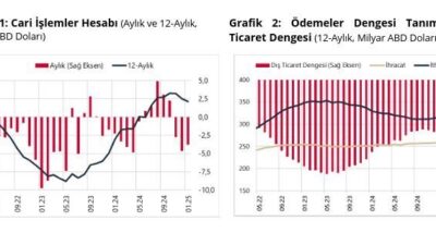 Caner ÜNVER/ANKARA, – TÜRKİYE Cumhuriyet Merkez Bankası (TCMB), ocak ayında
