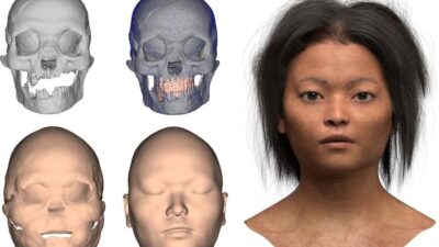 ÇİN, – ÇİNLİ bilim insanları, üç boyutlu teknoloji kullanarak 16