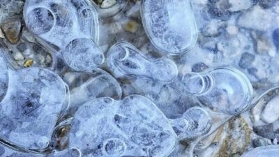 ÇİN, – ÇİNLİ bilim insanları, Antarktika’da 6 yeni bakteri cinsi