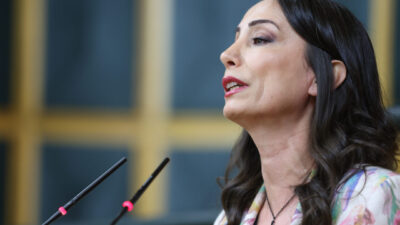 Aliekber METE/ANKARA, – DEM Parti Eş Genel Başkanı Tülay Hatimoğulları,