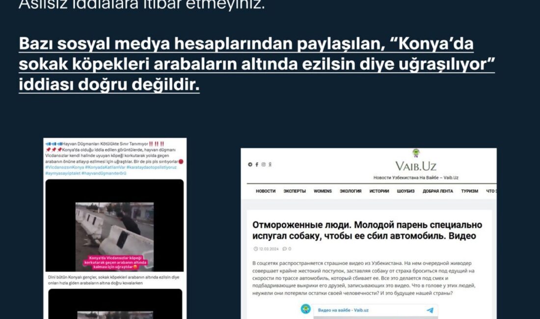 ANKARA, – İLETİŞİM Başkanlığı Dezenformasyonla Mücadele Merkezi (DMM), ‘Konya’da sokak