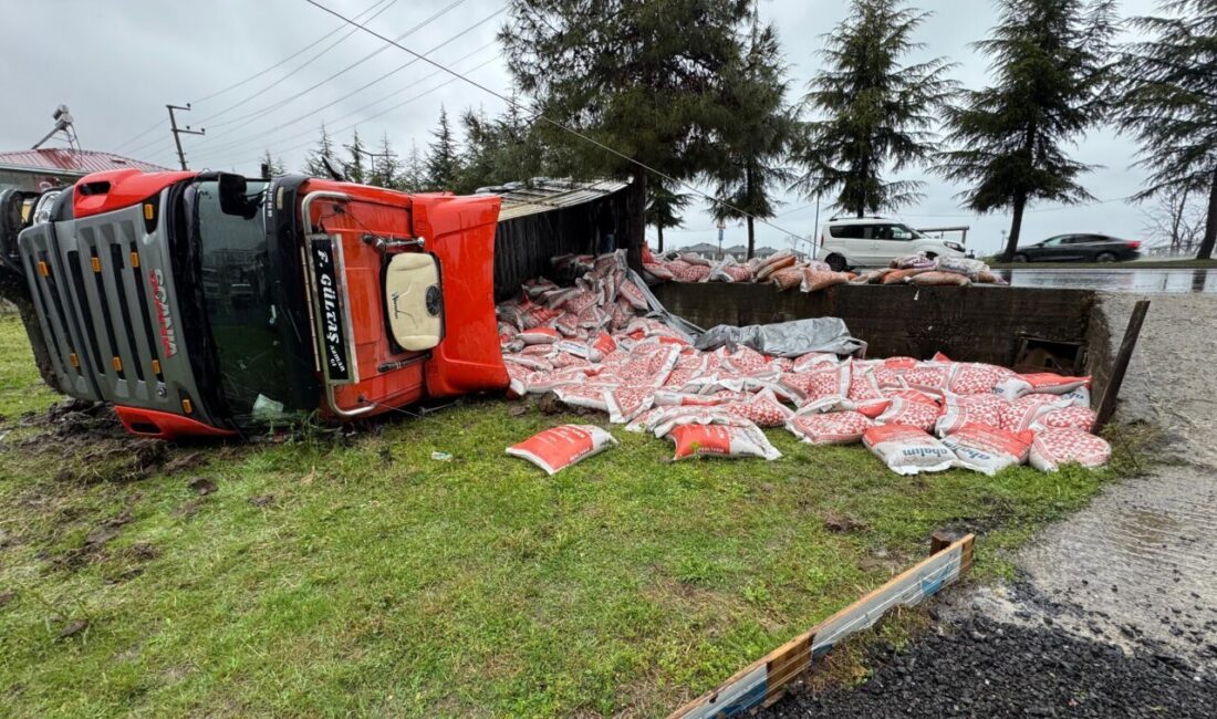 Emrah GEMİCİOĞLU/ORDU, – ORDU’da evin bahçesine devrilen besi yemi yüklü