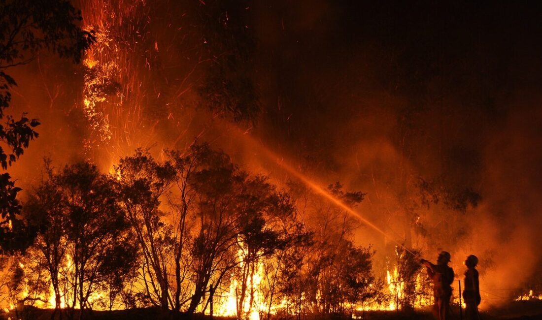 GÜNEY KORE, – GÜNEY Kore’nin güneydoğu bölgesinde çıkan orman yangınlarında