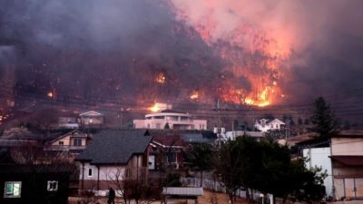 GÜNEY KORE, – GÜNEY Kore’nin güneydoğusunda başlayan orman yangınlarında hayatını