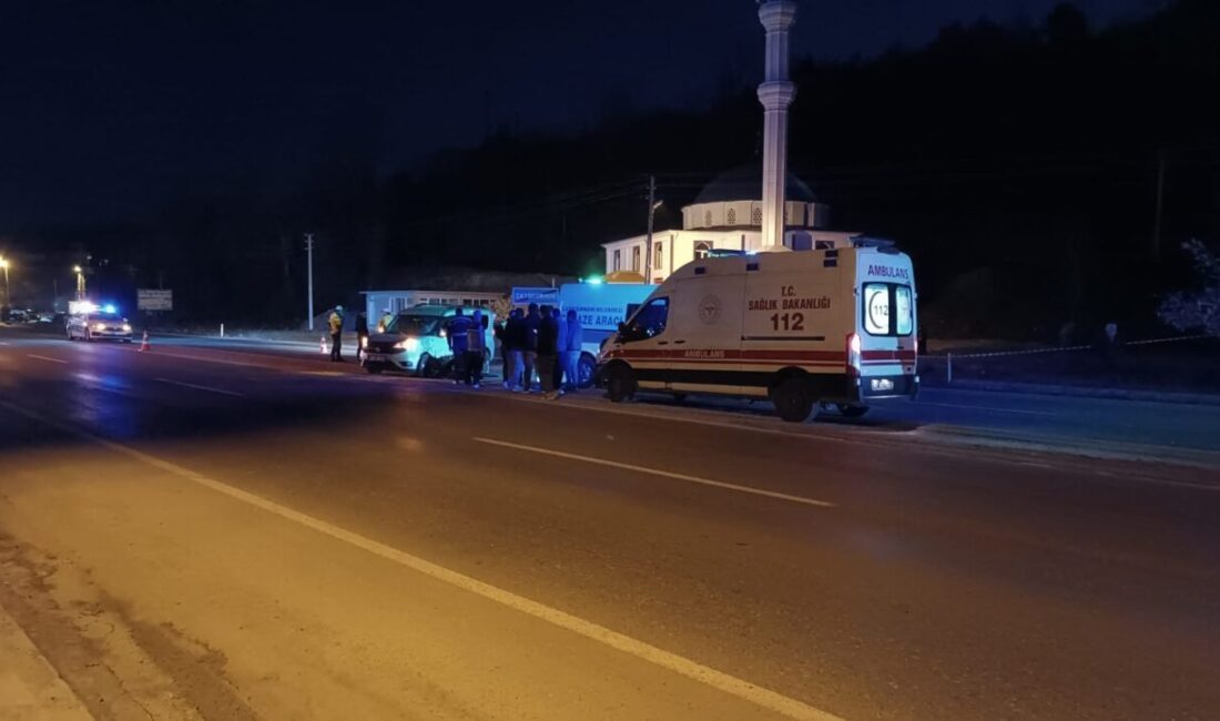 Ali Sencer ARSLAN/ DEVREK (Zonguldak), – ZONGULDAK’ın Devrek ilçesinde, hafif