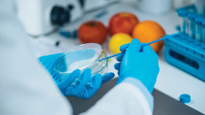 BİRLEŞİK KRALLIK, – İNGİLTERE’de laboratuvar ortamında üretilen et, süt ve