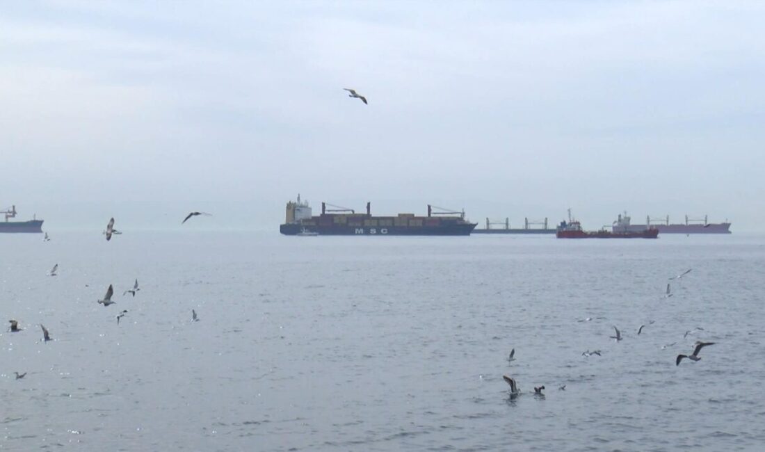 Özgür EREN/İSTANBUL – Bakırköy Yeşilköy sahilinde Liberya Bayraklı MSC Rhiannon