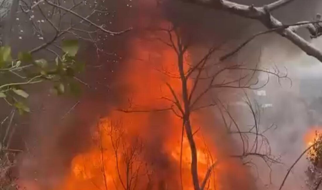 Doğan Can CESUR- Serap TÜRKOĞLU/ İSTANBUL -SARIYER’de boş arazideki metruk