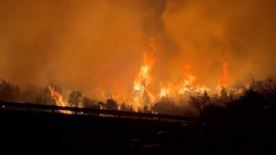 JAPONYA, – JAPONYA’nın Okayama ve Ehime eyaletlerinde başlayan orman yangınlarının