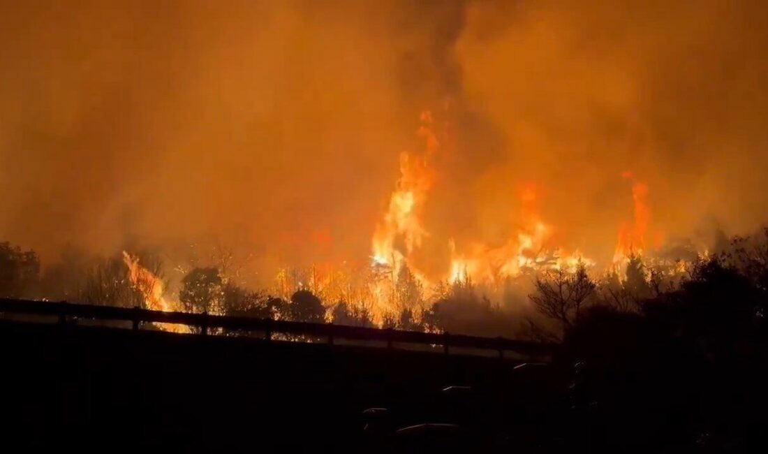 JAPONYA, – JAPONYA’nın batısında başlayan orman yangınlarının beşinci gününde de