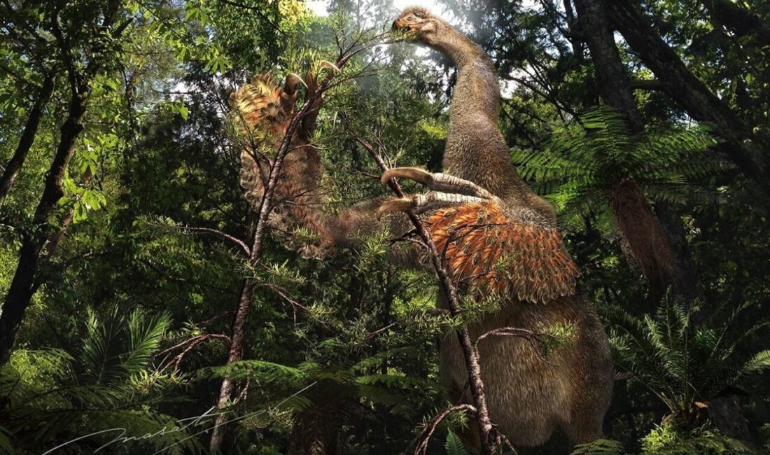 KANADA, – KANADA’dan araştırmacılar, milyonlarca yıl önce yaşamış üç parmaklı