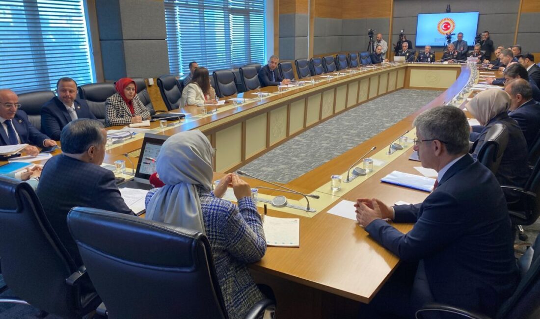 Aliekber METE-Canberk ÖZTÜRK/ANKARA, – TBMM Çocuklara Karşı Şiddet ve İstismarı