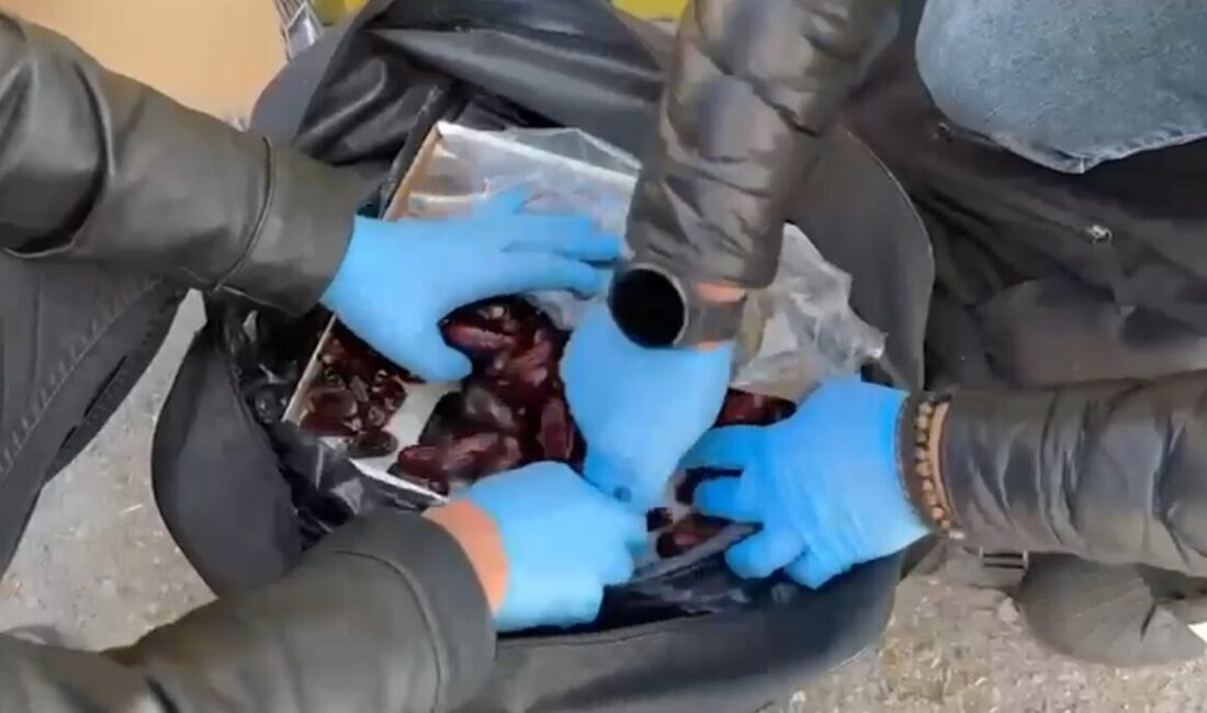 Furkan KAVUKLU/KAYSERİ, – KAYSERİ’de, durdurulan araçta kutuda hurmalar arasına gizlenmiş