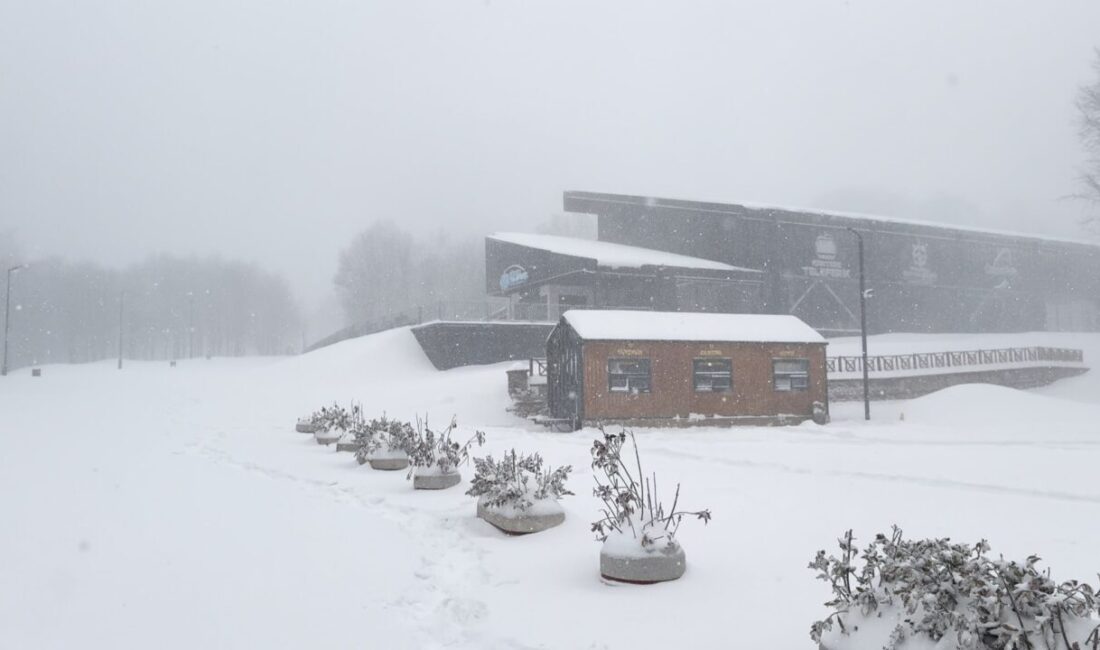Ardacan UZUN/KARTEPE (Kocaeli), – KOCAELİ’de, Kartepe’nin eteklerinde bulunan Kuzuyayla Tabiat