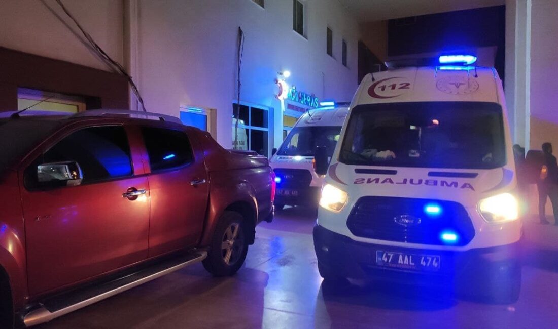 Ahmet AKKUŞ/ NUSAYBİN (Mardin), – MARDİN’in Nusaybin ilçesinde, iki grup