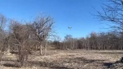 ABD, – ABD’nin New York eyaletindeki orman yangınlarına ilişkin soruşturma