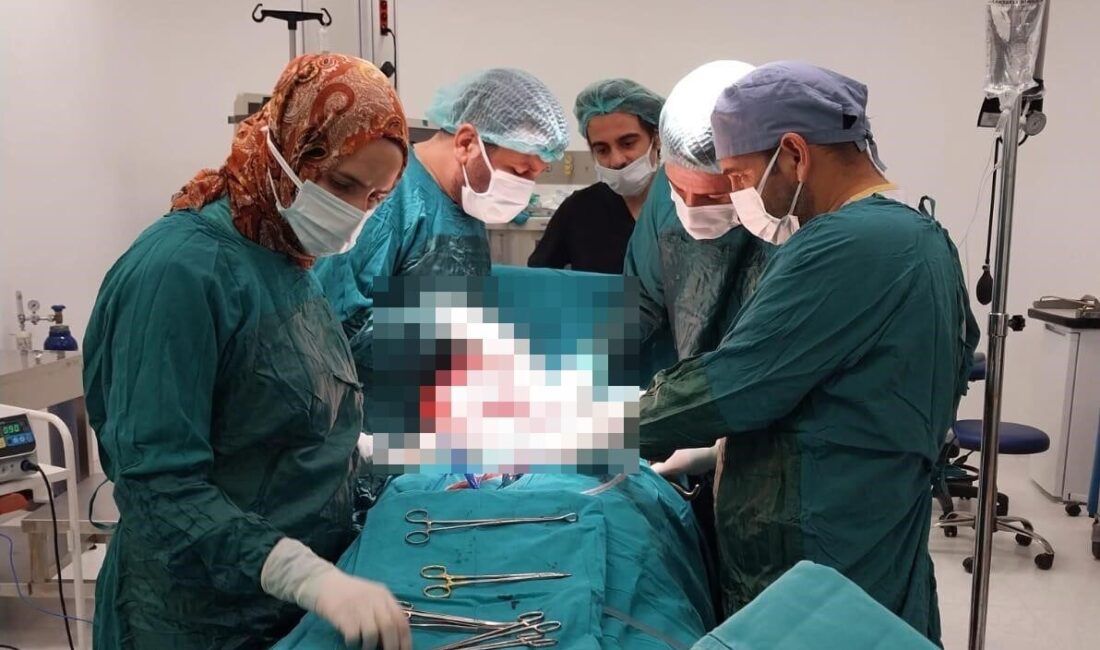 Seyfettin EKEN-Özcan ARGİN/ÇERMİK (Diyarbakır), – DİYARBAKIR’ın Çermik ilçesinde karın ağrısı,