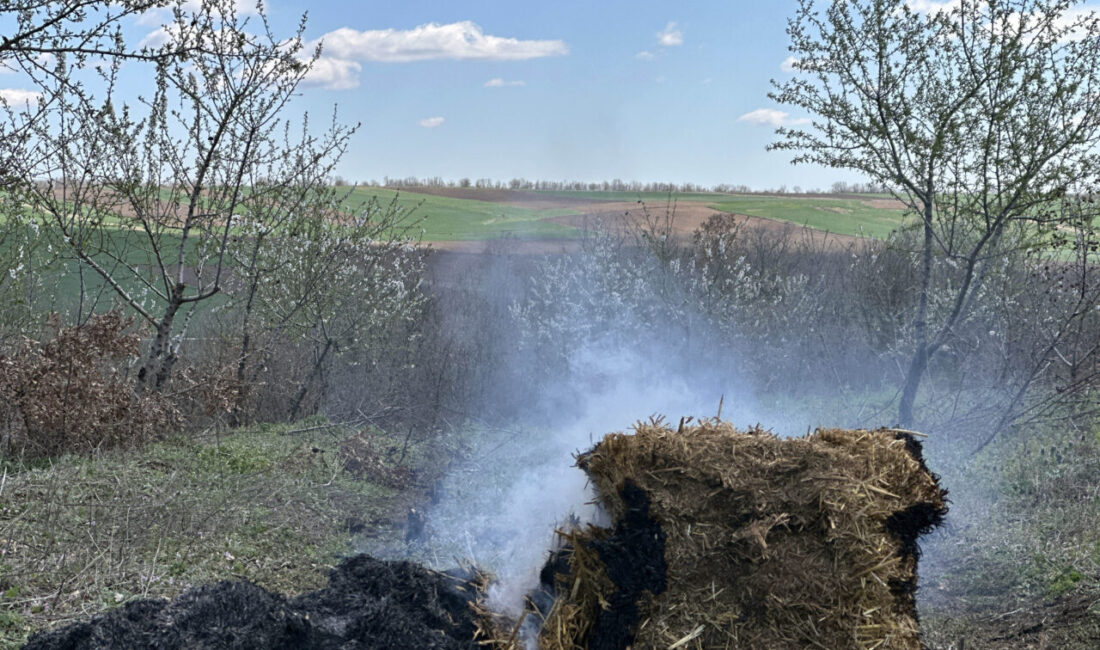 Olgay GÜLER-Umut IŞIK/EDİRNE, – EDİRNE’nin Lalapaşa ilçesine bağlı Çömlekköy’de üreticiler,