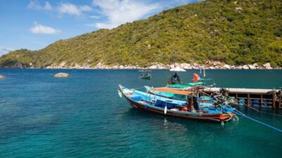 TAYLAND, – TAYLAND’ın Koh Tao Adası açıklarında bir dalış teknesinde